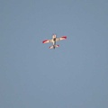 IMG 6282